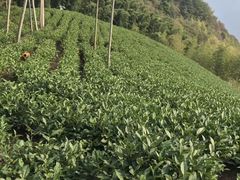 -御春茗茶(蓝村小区店)