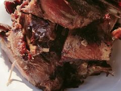 -大鹅岛绿色生态美食园