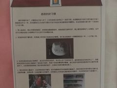 -金雁飞鸣双语幼儿园