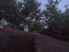 -大港湿地公园