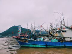 -沈家门渔港