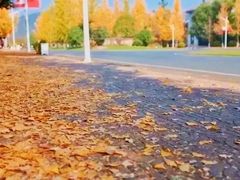 -浙江农林大学(东湖校区)