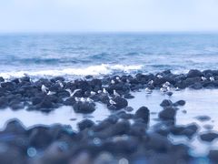 -龙头岩(Dragon Head Rock)