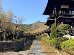 -大唐贡茶院