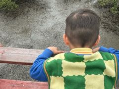 -北海金海湾红树林生态旅游区