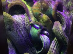 -太平洋海底世界