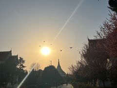 -洛阳白马寺