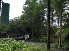 -西溪国家湿地公园