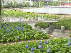 -武汉理工大学(余家头校区)