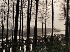 -太湖湖滨国家湿地公园-停车场