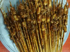 -十里铺铁板鱿鱼