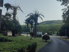 -上海月湖雕塑公园
