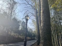 -潜山国家森林公园