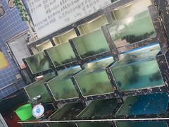 -众味海鲜大排档·活海鲜·潮汕味(南澳店)