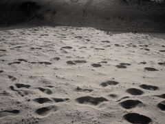 -古柏渡飞黄旅游区