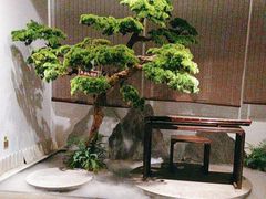 -儒忆孔府菜(清控店)