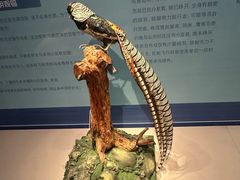 -台州博物馆