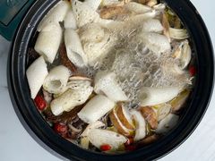 -蘑统田下·野生菌火锅