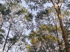 -广州市白云山风景名胜区