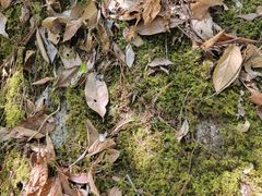 -腾冲云峰山