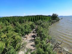 -捞渔河湿地公园
