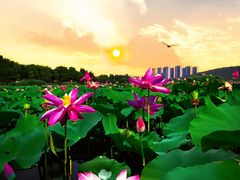 -云龙湖旅游景区