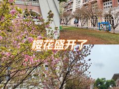 -长沙市青少年宫