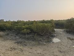 -北海金海湾红树林生态旅游区