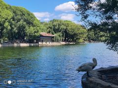 -石家庄市动物园