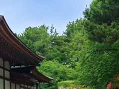 -名古屋城