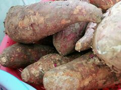 -广百家超市(大东海店)