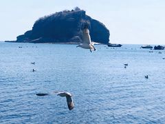 -棒棰岛宾馆景区