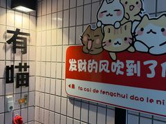 -有喵·猫咖·狗咖·30几只猫10只小狗(岗厦店)
