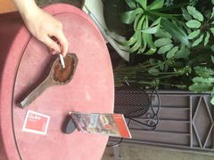 iphone_upload_pic-杨桃院子旅馆(厦门鼓浪屿中华红墨店)
