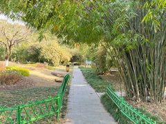 -堤角公园