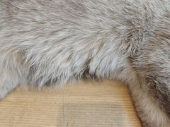 -藏猫猫咖啡主题馆(中央大道店)