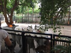 -TrueLove @ Neverland (Husky Cafe)