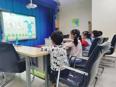 -月星环球港赢在起点早教中心·亲子托班早教体验课儿童兴趣班逻辑思维专注力幼小衔接(普陀中心)