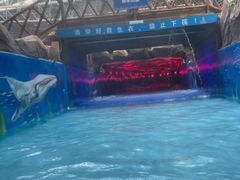 -青岛东方影都融创水世界