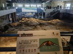 -自贡恐龙博物馆