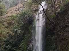 -莫里热带雨林景区