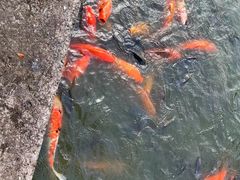 -南宁市动物园