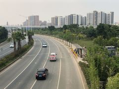 -宝安西湾红树林湿地公园