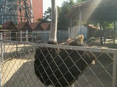 -意大利农场度假村