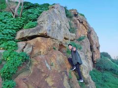 -阿里·本·优素福神学院