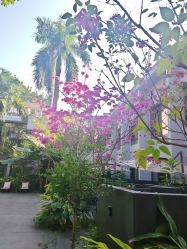 -宝生月子中心(独栋园林·福田店)