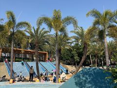 -宝安西湾红树林湿地公园