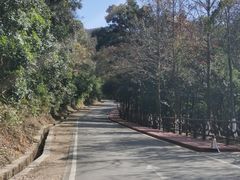 -广州市石门国家森林公园
