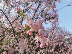 -天鹅湖体育公园