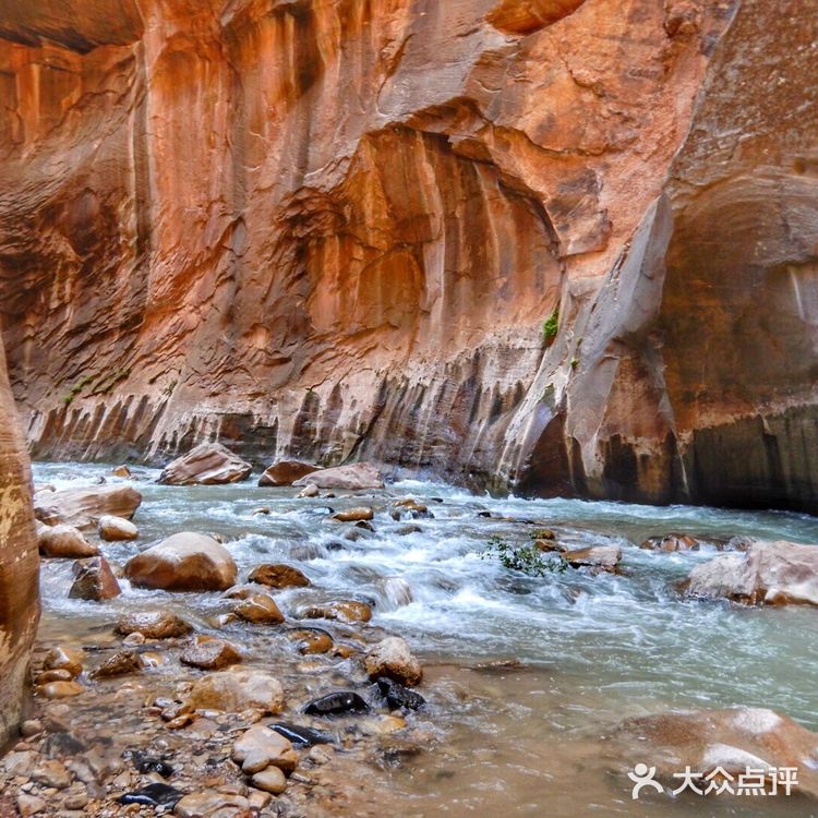 在峡谷间的溪流里步行了七个小时是什么体验?!